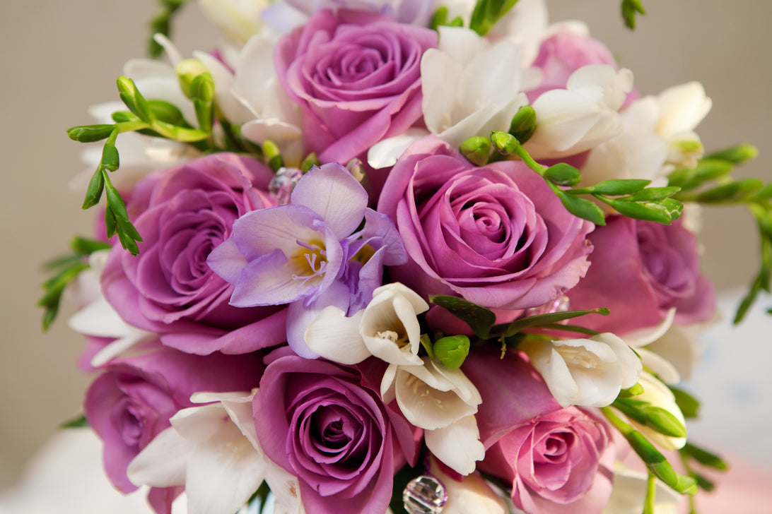 10 Perfect Romantic Flowers for Your Special Someone