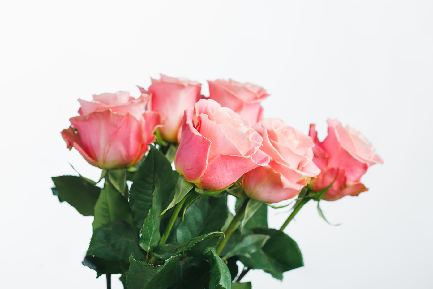 Four Most Common Types of Roses in Flower Bouquets