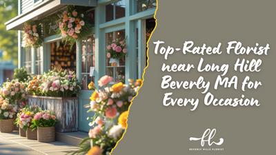 Top-Rated Florist near Long Hill Beverly MA for Every Occasion