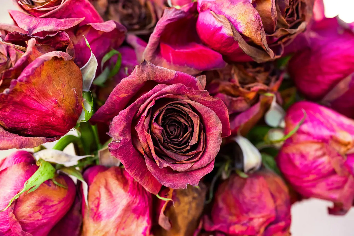 How To Dry Flowers You Want To Remember