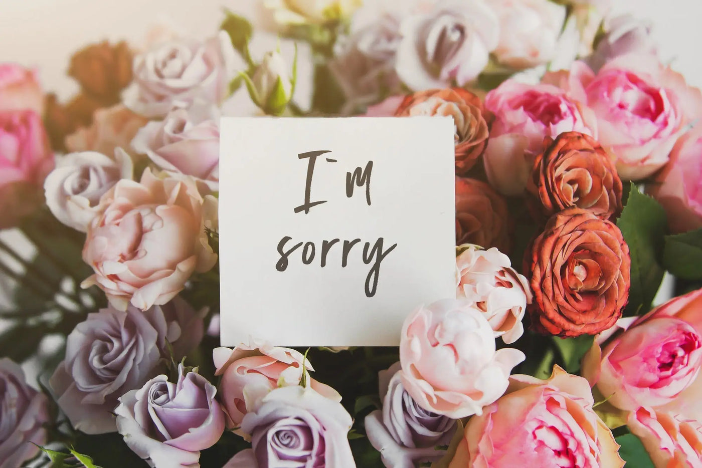 The 4 Best Flowers To Say I’m Sorry