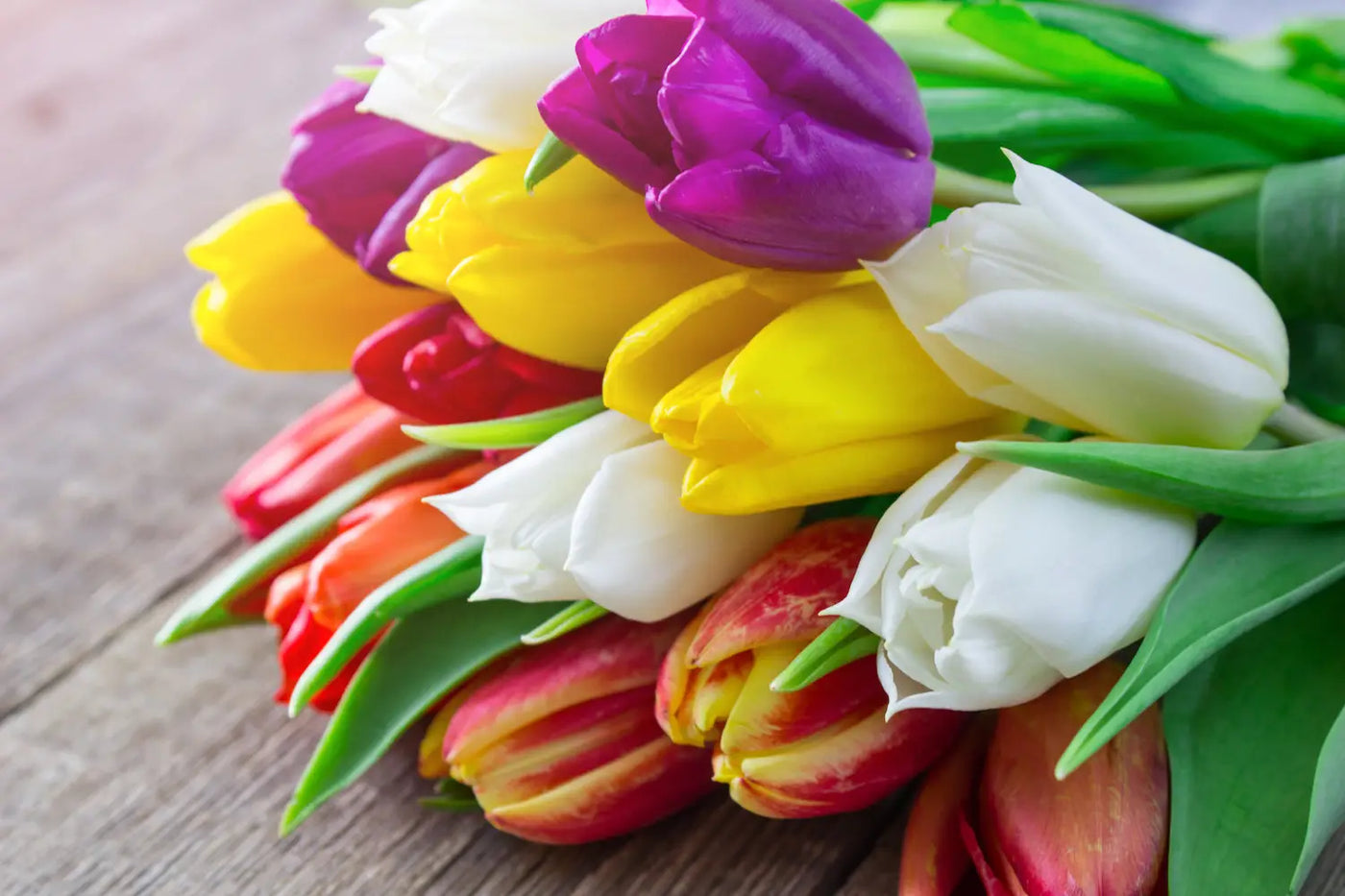 The Significance of Flowers: Popular Days To Gift Holiday Flowers