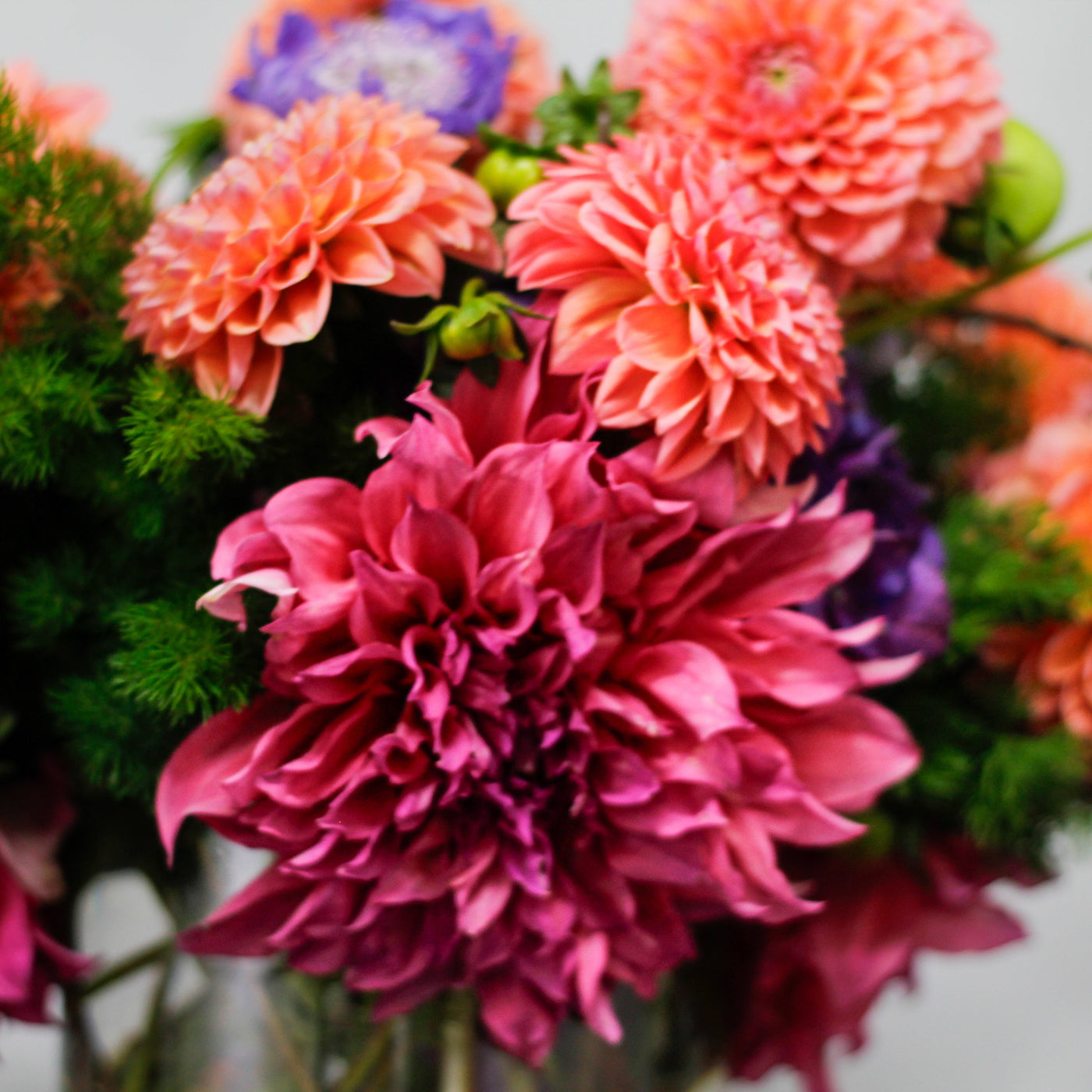 Fall Floral Collection | Beverly Hills Florist