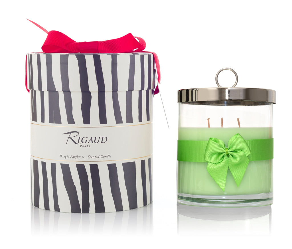 Jasmin De Printemps Prestige