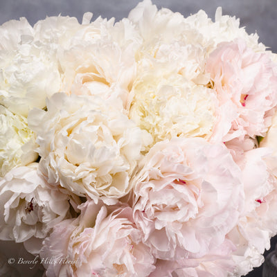 A Peony Fairy Tale - beverlyhillsflorist