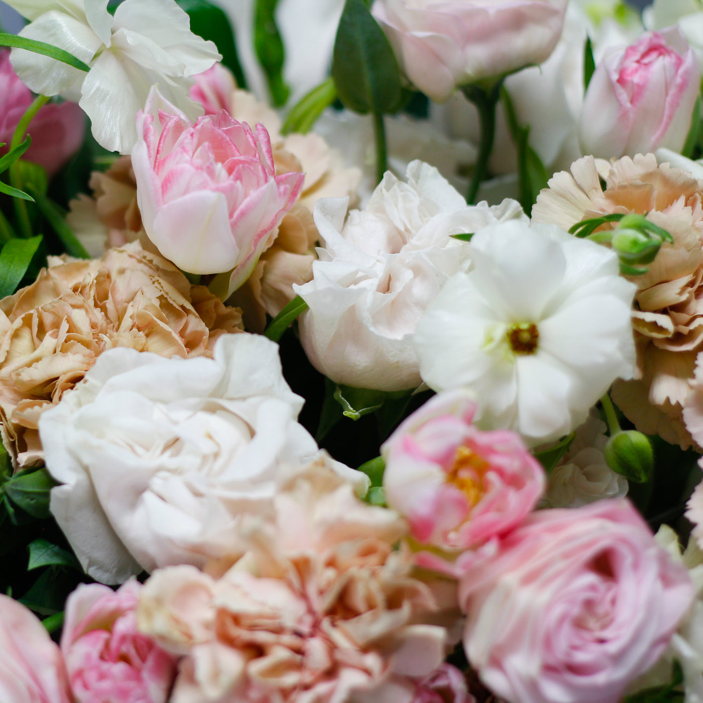 Beverly Hills florist blush flowers