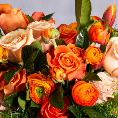 Tangerine Tango - beverlyhillsflorist