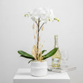 White Phalaenopsis orchid plant in white ceramic vase with dried palm leaf and bunny tails - Orchid Essence by Beverly Hills Florist