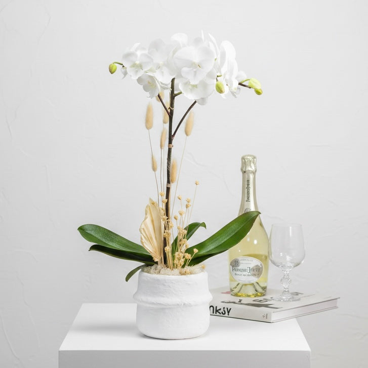 White Phalaenopsis orchid plant in white ceramic vase with dried palm leaf and bunny tails - Orchid Essence by Beverly Hills Florist