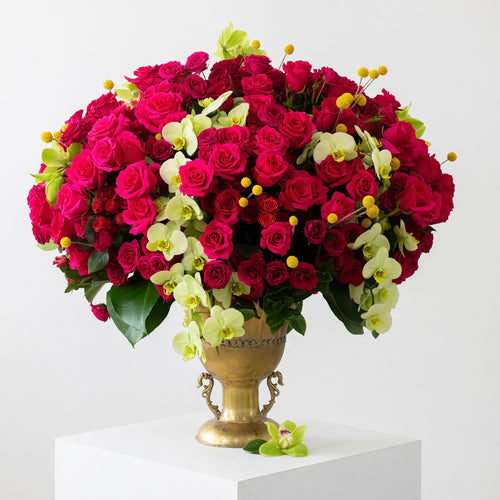 Amore Roses — luxury long-stem roses and orchids | Beverly Hills Florist