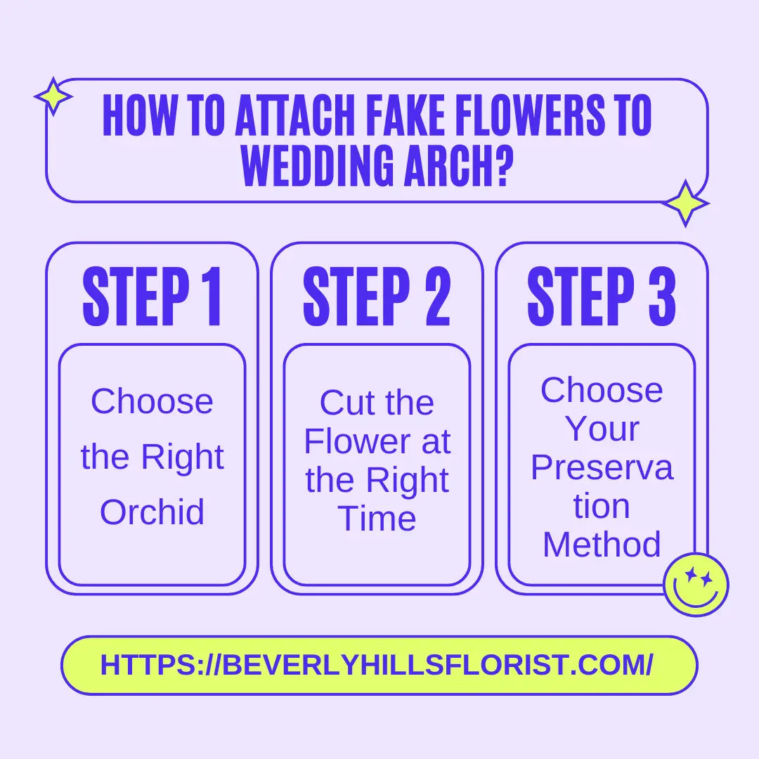 How To Preserve An Orchid Flower? Comprehensive Guide