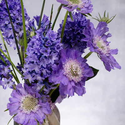 Lavender Seasonal Flowers designers Choice