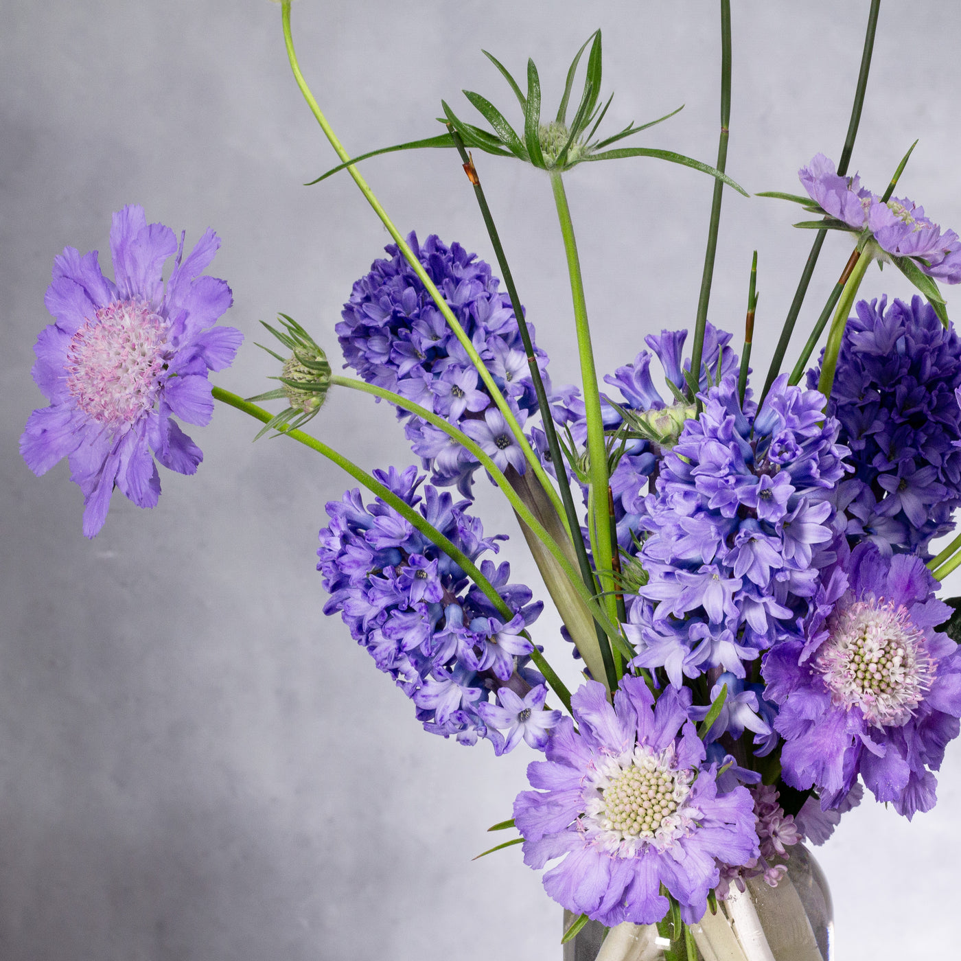 Lavender Seasonal Flowers