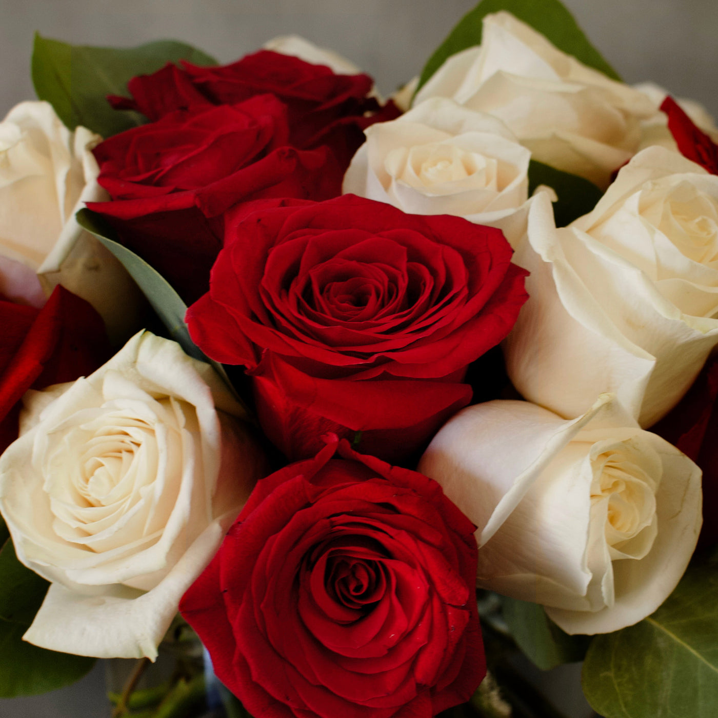 Valentines - Red & White Checker Roses