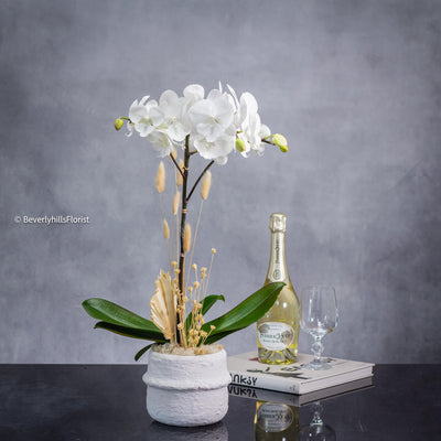 Orchid Essence - beverlyhillsflorist