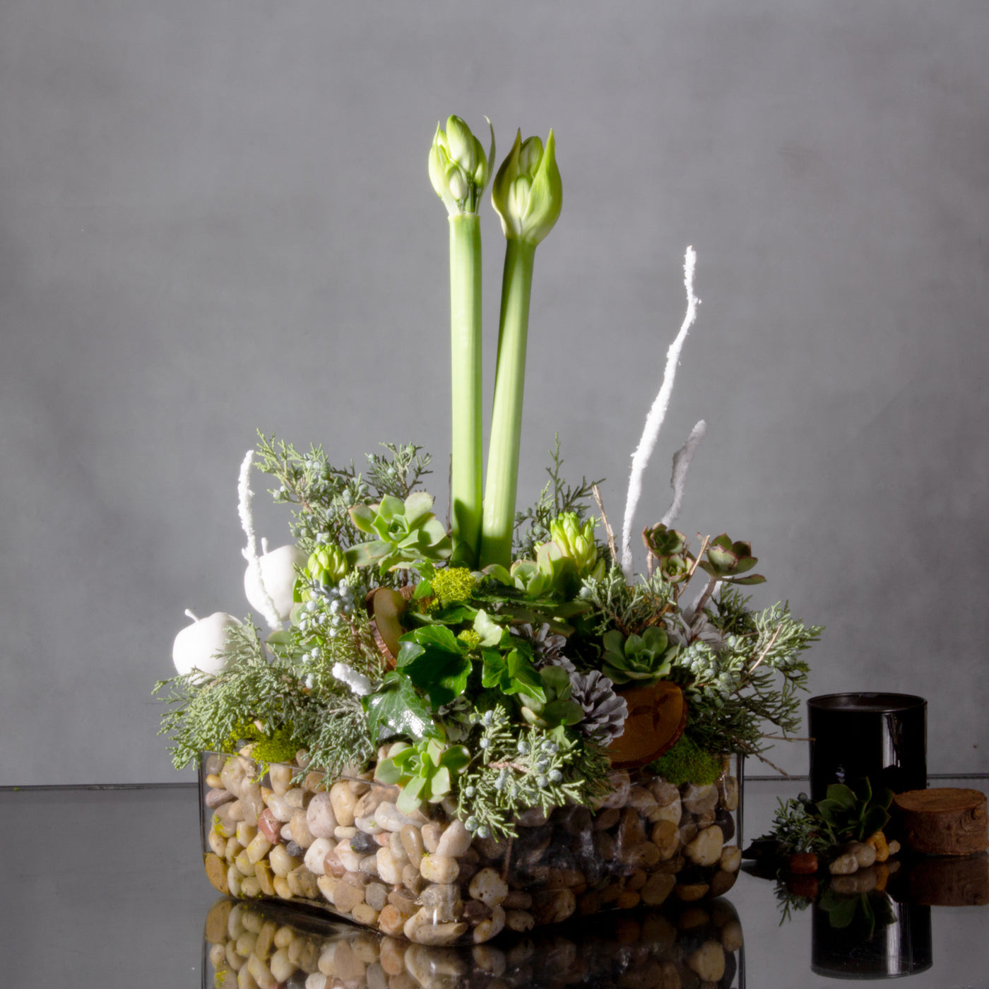 Whispers of Renewal: A New Year's Celebration with White Amaryllis and Hyacinth - beverlyhillsflorist