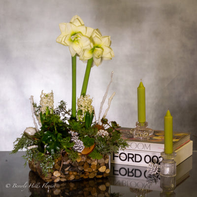 Whispers of Renewal: A New Year's Celebration with White Amaryllis and Hyacinth - beverlyhillsflorist