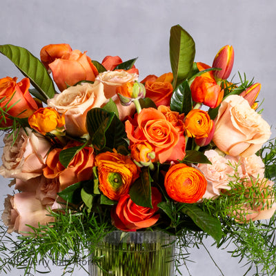 Tangerine Tango - beverlyhillsflorist