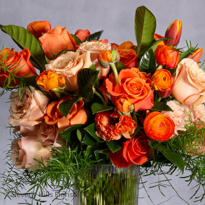 Tangerine Tango - beverlyhillsflorist