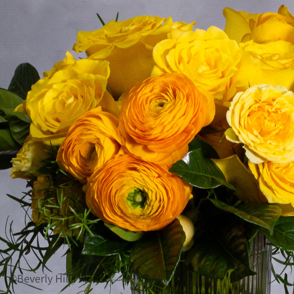 Citrus Burst - beverlyhillsflorist