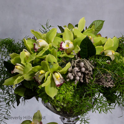 Safari Splendor - beverlyhillsflorist