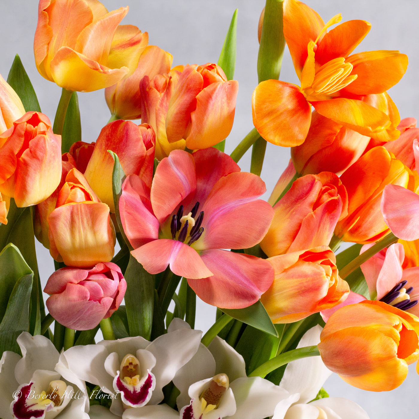 Spring Bliss: Tulip and Orchid Bouquet