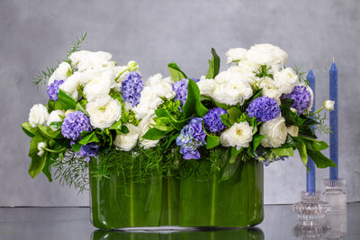 Blue Hyacinths and white seasonal Flowers