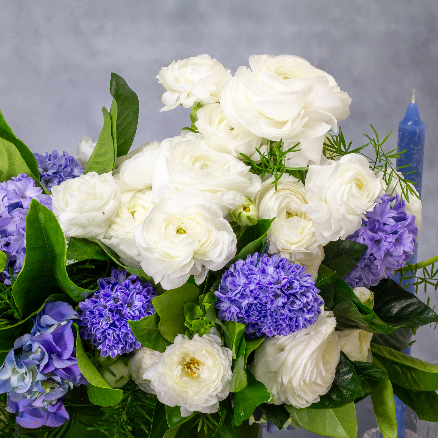 Blue Hyacinths and white seasonal Flowers