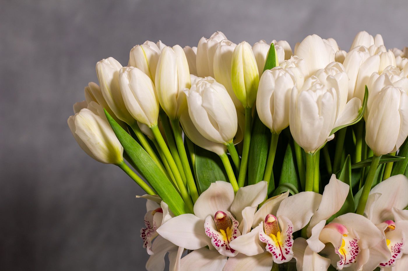 White Goddess - 150 White Tulips and Orchids