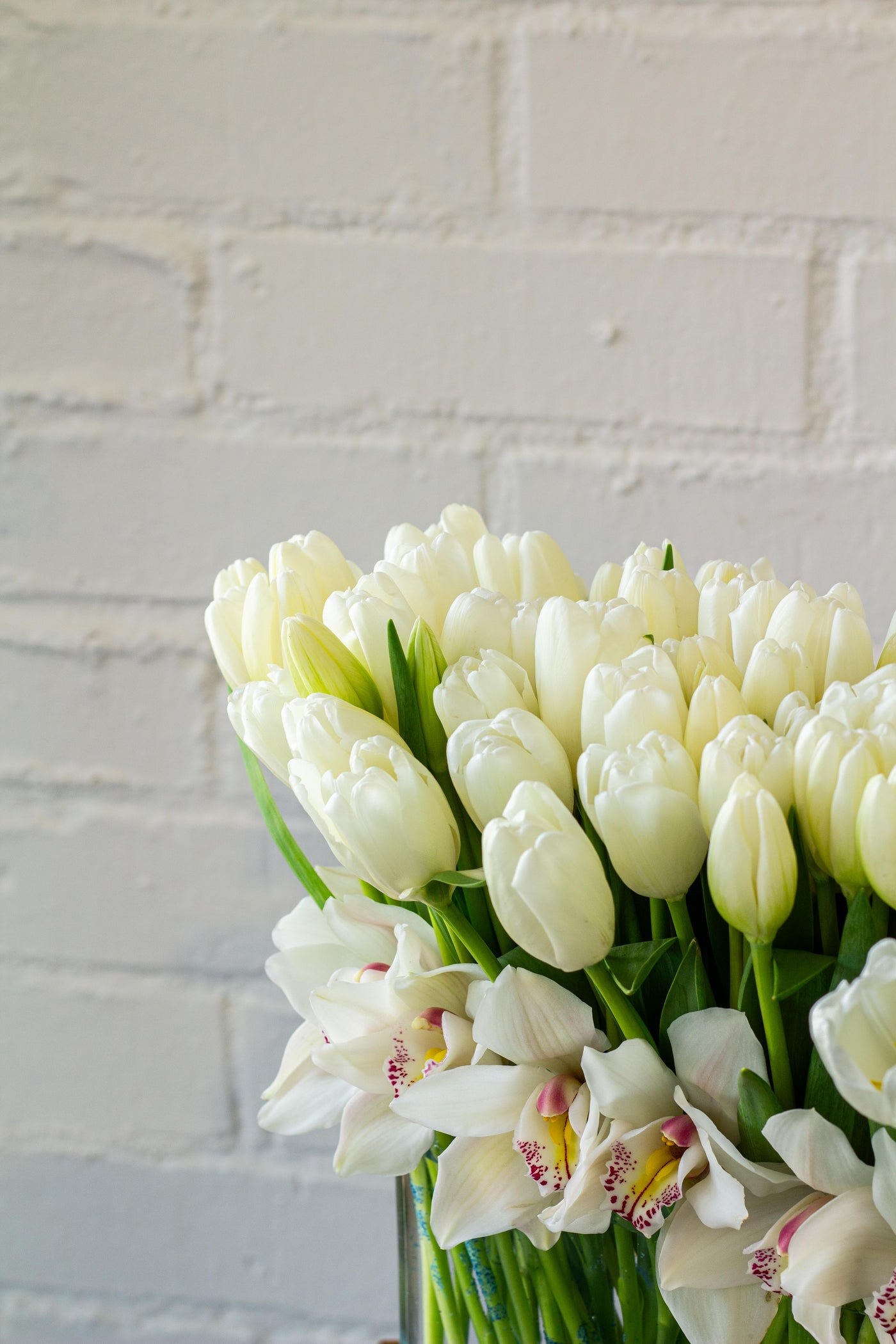 White Goddess - 150 White Tulips and Orchids