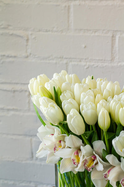 White Goddess - 150 White Tulips and Orchids
