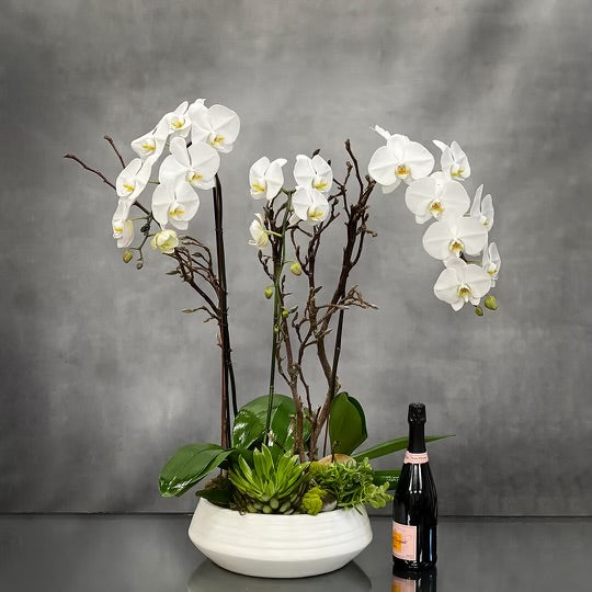 Elegant White Orchid Bowl