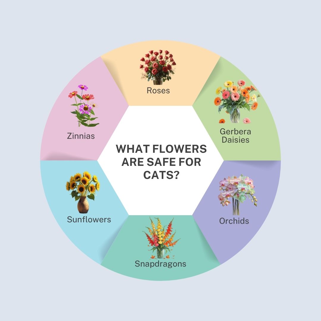 What Flowers Are Safe For Cats? A Complete Pet-Safe Guide