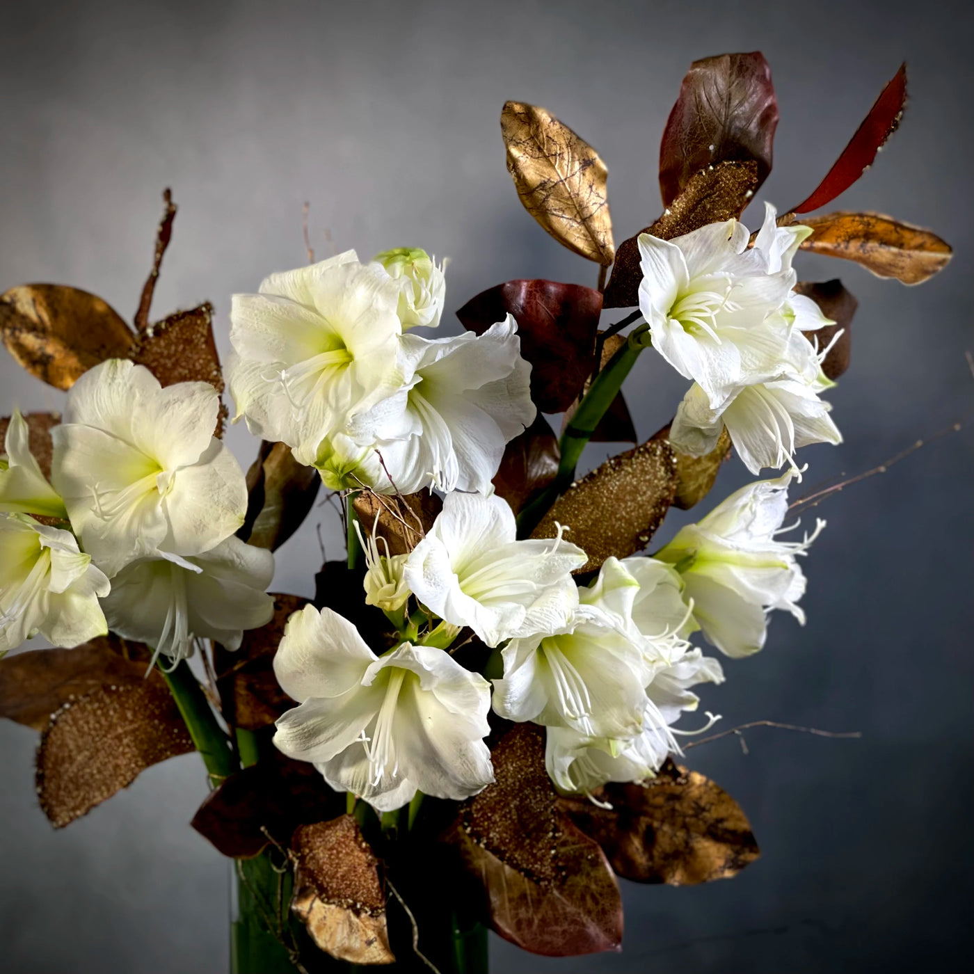 A Modern Christmas arrangement featuring amaryllises in a sleek 36-inch vase, perfect for holiday decor, available for same-day delivery by Beverly Hills Florist.