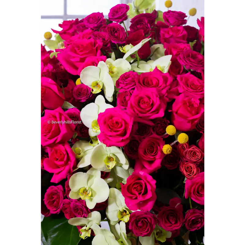 Amore Roses arrangement with red and pink Ecuadorian roses and orchids | Beverly Hills Florist