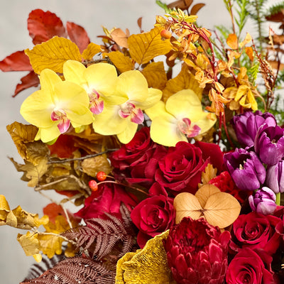 Autumn Harmony arrangement with fall flowers in vibrant reds, oranges, yellows, and browns, set in a black geometric vase, available for same-day delivery by Beverly Hills Florist.