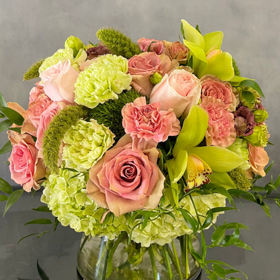 Beautiful Garden arrangement with pink roses, green and peach orchids, hydrangeas, and dianthus in a 6x6 cylinder vase, available for same-day delivery by Beverly Hills Florist.