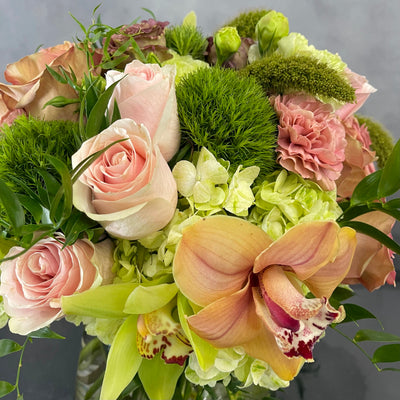 Beautiful Garden arrangement with pink roses, green and peach orchids, hydrangeas, and dianthus in a 6x6 cylinder vase, available for same-day delivery by Beverly Hills Florist.