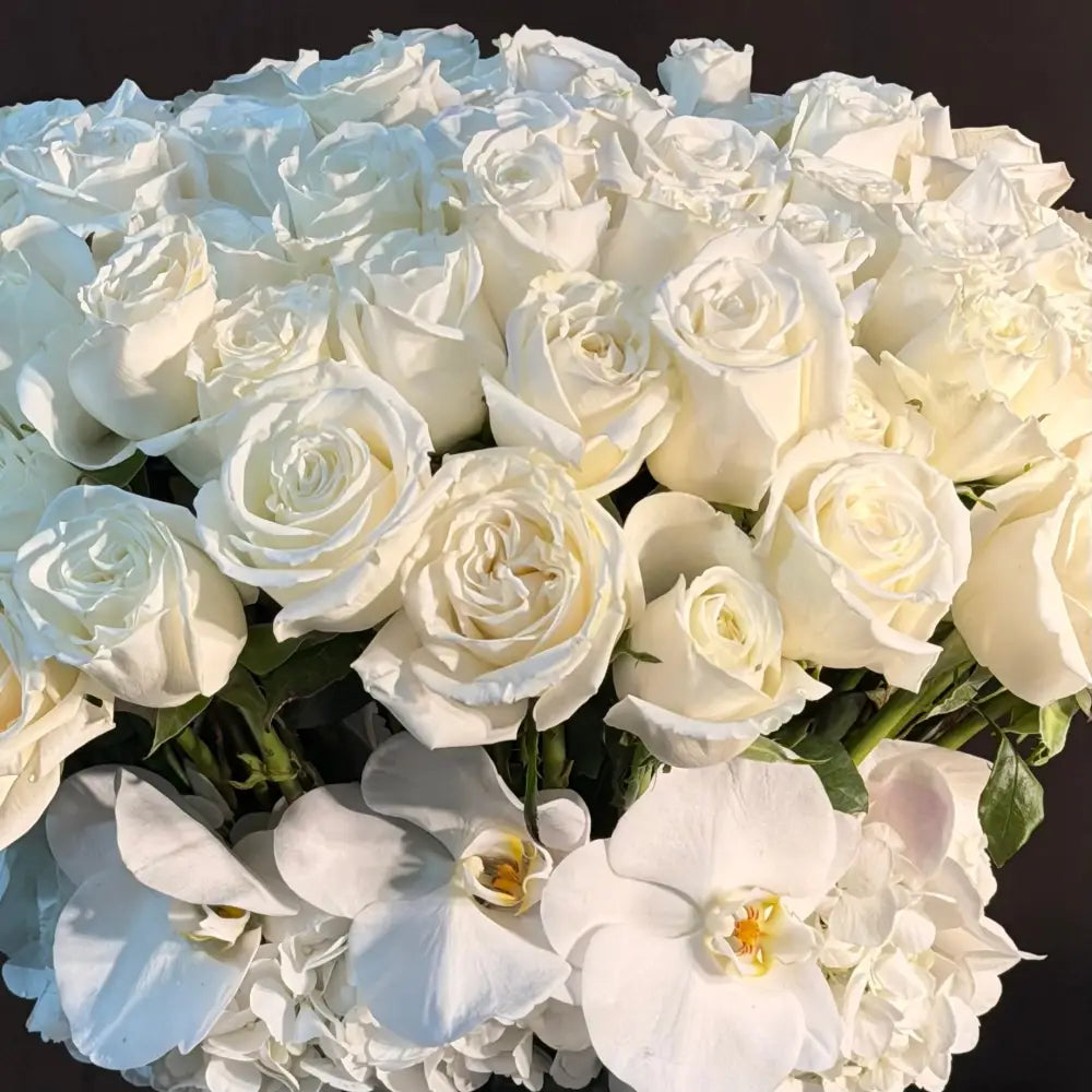 Beverly Hills Florist - Classic Whites Roses - Flowers