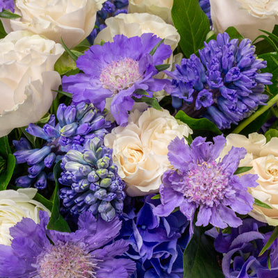 Luxury blue and white flower arrangement with hydrangea, roses, scabiosa, and hyacinths in a ceramic vase – Beverly Hills Florist.