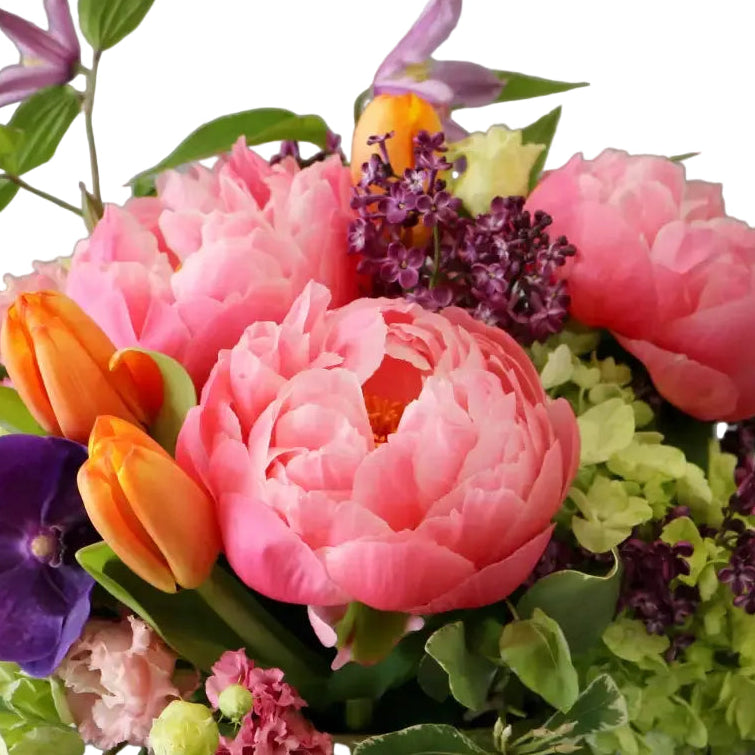 Chic ceramic vase arrangement with peonies, hydrangeas, and tulips – Beverly Hills florist same day delivery