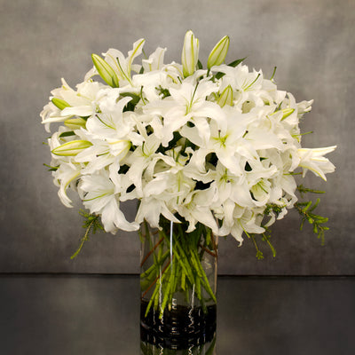 White Casablanca In A Vase