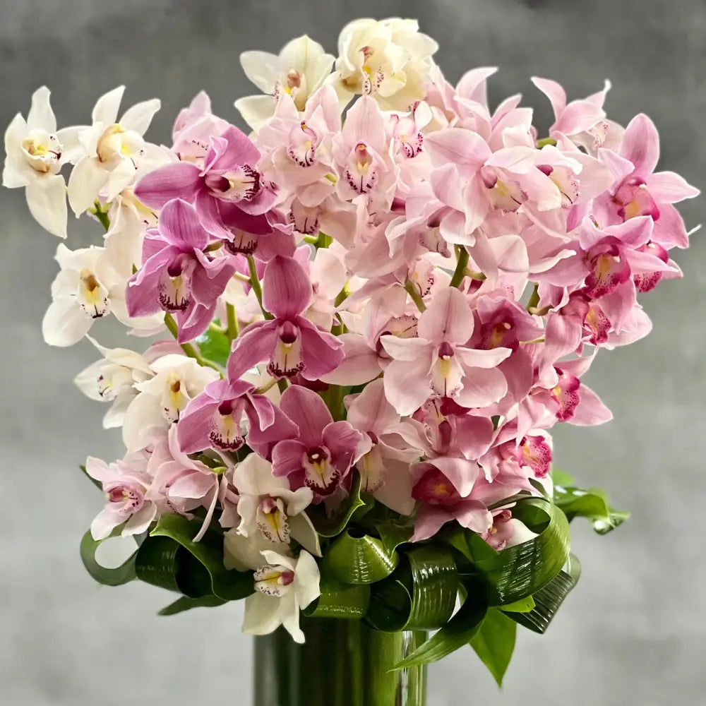 Climbing the Ladder - beverlyhillsflorist