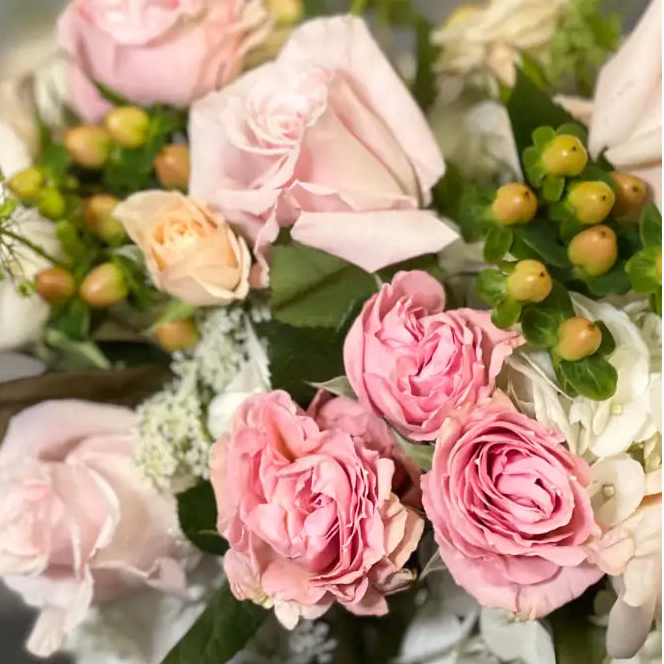 Designer's Choice Soft and Blush Roses, Same day delivery Beverly Hills