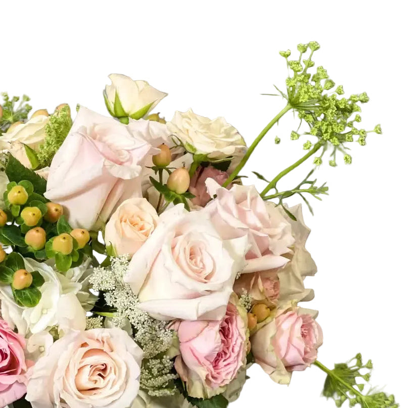 Designer's Choice Soft and Blush Roses, Same day delivery Beverly Hills