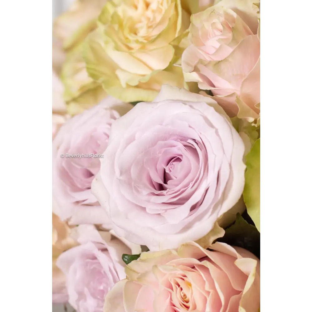 Ethereal Pastels - beverlyhillsflorist