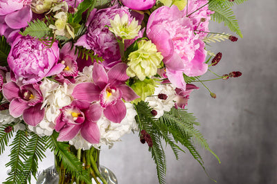 Elegant Floral Fusion arrangement with peonies, cymbidium orchids, and white hydrangeas in a tall glass vase – available for same-day delivery by Beverly Hills Florist.