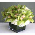 Green Orchid Overture - beverlyhillsflorist