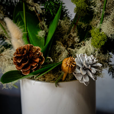 Elegant white orchid holiday arrangement in a round white ceramic vase with festive holiday accents.