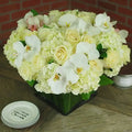 Ivory Chiffon - beverlyhillsflorist